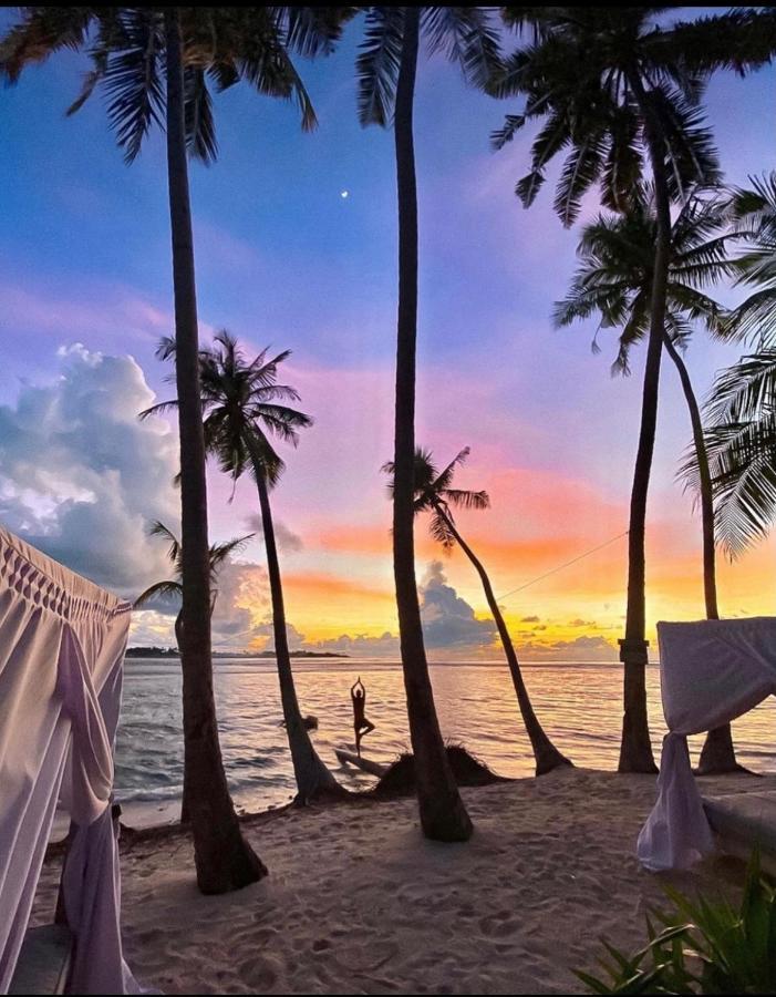 Met House Hotel Thulusdhoo Ngoại thất bức ảnh