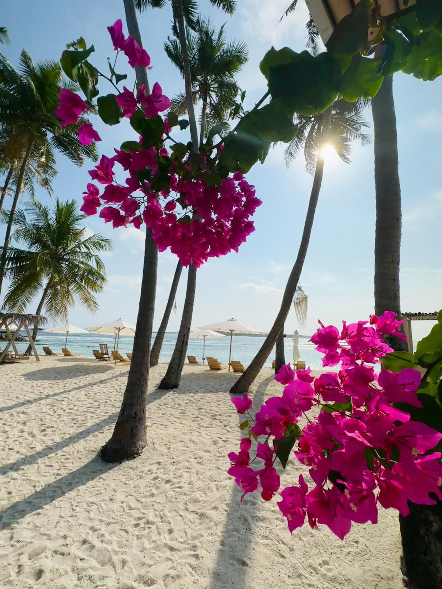 Met House Hotel Thulusdhoo Ngoại thất bức ảnh