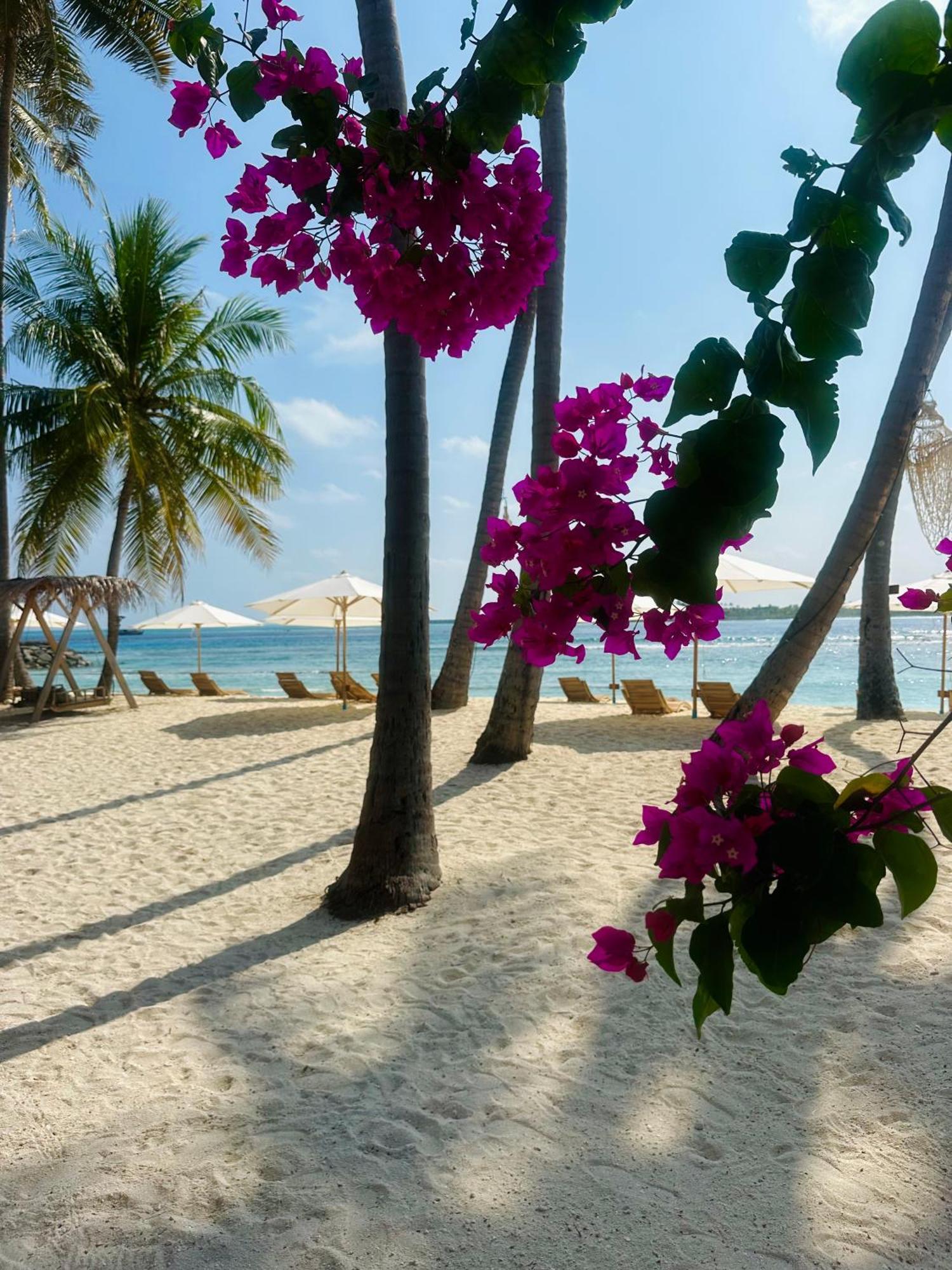 Met House Hotel Thulusdhoo Ngoại thất bức ảnh