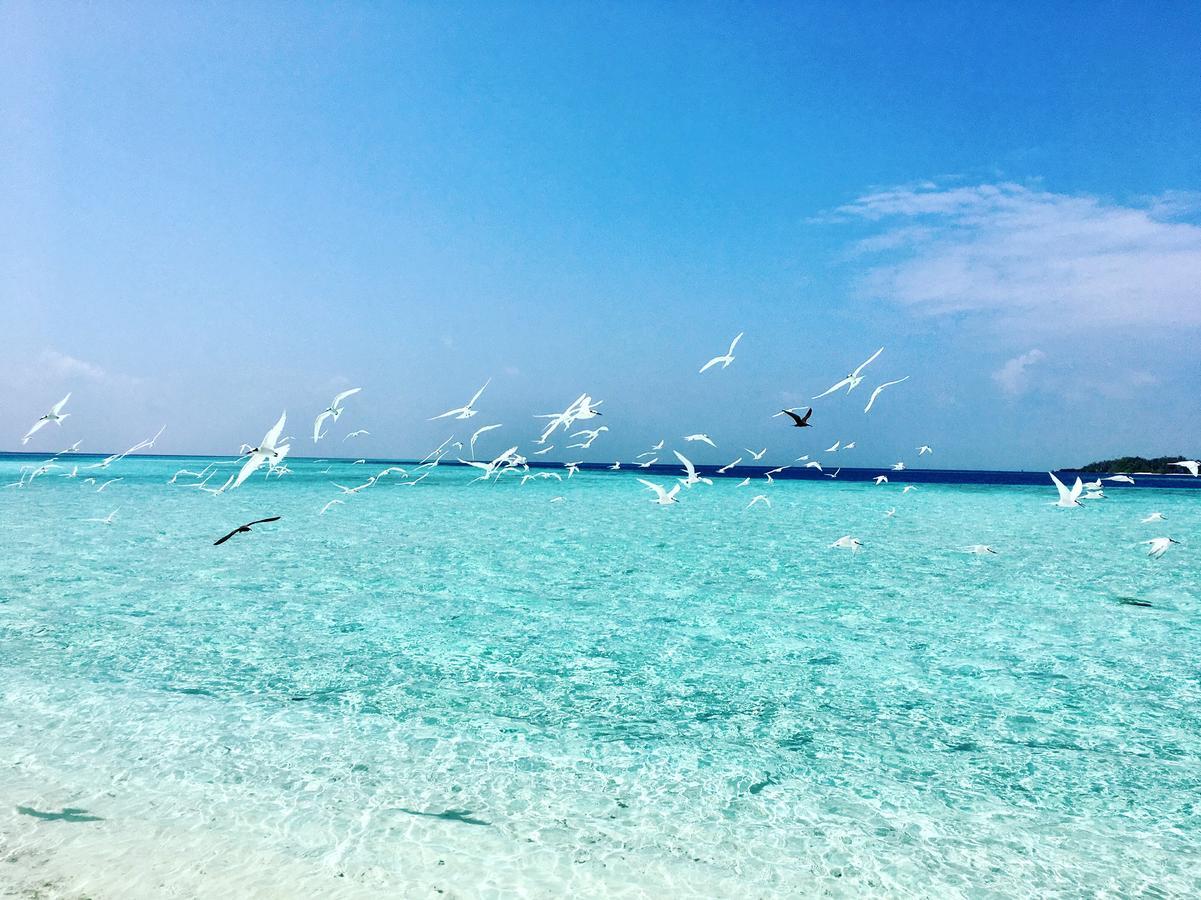 Met House Hotel Thulusdhoo Ngoại thất bức ảnh